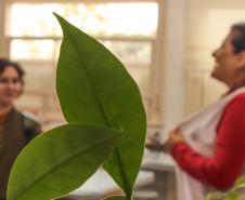 Estudantes de Pedagogia da Unespar visitam CEP