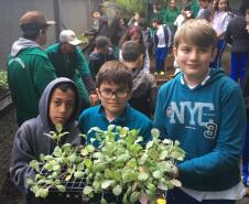 Nesta quarta-feira (5), Dia Internacional do Meio Ambiente, os estudantes do Colégio Estadual do Paraná plantaram diversas mudas de verduras e hortaliças nos canteiros da nova horta construída no Colégio Estadual Tiradentes (CEP-Tiradentes). 