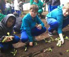 Nesta quarta-feira (5), Dia Internacional do Meio Ambiente, os estudantes do Colégio Estadual do Paraná plantaram diversas mudas de verduras e hortaliças nos canteiros da nova horta construída no Colégio Estadual Tiradentes (CEP-Tiradentes). 