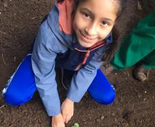 Nesta quarta-feira (5), Dia Internacional do Meio Ambiente, os estudantes do Colégio Estadual do Paraná plantaram diversas mudas de verduras e hortaliças nos canteiros da nova horta construída no Colégio Estadual Tiradentes (CEP-Tiradentes). 