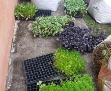 Além da horta no CEP-Tiradentes, as atividades também acontecem no CEP-Amâncio, onde os canteiros acabaram de ser construídos e já estão prontos para receber as mudas que serão plantadas pelos estudantes envolvidos neste projeto ambiental.