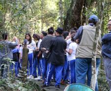 Para se aproximar da fauna e flora brasileira, um grupo de estudantes e professores do Colégio Estadual do Paraná (CEP) visitou, na quarta-feira (12), o Museu de História Natural localizado no bairro Capão da Imbuia, em Curitiba.