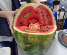 A montagem criativa faz parte da exposição de maquetes apresentadas pelos estudantes do 1° ano do Ensino Médio, que usou da atividade prática para representar as  células animal e vegetal no estudo da citologia.