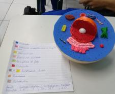 A montagem criativa faz parte da exposição de maquetes apresentadas pelos estudantes do 1° ano do Ensino Médio, que usou da atividade prática para representar as  células animal e vegetal no estudo da citologia.