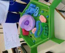 A montagem criativa faz parte da exposição de maquetes apresentadas pelos estudantes do 1° ano do Ensino Médio, que usou da atividade prática para representar as  células animal e vegetal no estudo da citologia.