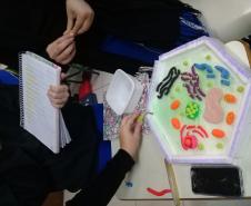 A montagem criativa faz parte da exposição de maquetes apresentadas pelos estudantes do 1° ano do Ensino Médio, que usaram da prática para criar modelos de representação das células animal e vegetal no estudo da citologia.