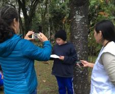 Antes de elaborar o texto no gênero notícia, os estudantes realizaram a leitura do conto “Um caso de burro”, de Machado de Assis. A tarefa foi escrever um texto para relatar a morte do burro, a partir da interpretação do texto literário.