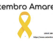 No Brasil, o Setembro Amarelo foi criado em 2015 pelo CVV (Centro de Valorização da Vida), CFM (Conselho Federal de Medicina) e ABP (Associação Brasileira de Psiquiatria). Ao longo dos últimos anos, escolas, universidades, entidades do setor público e privado e a população de forma geral se envolveram neste movimento que vai de norte a sul do Brasil.
