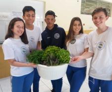 Alface, almeirão, brócolis, escarola, espinafre, couve, salsinha, cheiro-verde e outras verduras e hortaliças foram colhidas, nesta quinta-feira (12), na horta do Colégio Estadual Amâncio Moro (CEP-Amâncio).