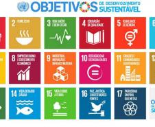 O projeto das hortas nas unidades de atendimento do Colégio Estadual do Paraná (CEP) atendente aos requisitos estabelecidos pelos Objetivos de Desenvolvimento Sustentável (ODS), propostos pela Organização das Nações Unidas (ONU).