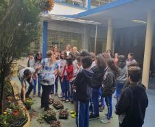 Com objetivos de tornar o paisagismo da escola ainda mais bonito e, principalmente, preservar a vida das abelhas, consideradas os mais importantes agentes polinizadores do meio ambiente, na última sexta-feira (8) foi inaugurado o “Jardim da Vida” no Colégio Estadual Tiradentes (CEP-Tiradentes).