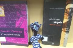 biblioteca_estante_consciencia_negra