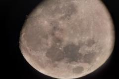 Lunathon