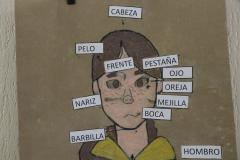 corpo