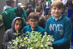 Nesta quarta-feira (5), Dia Internacional do Meio Ambiente, os estudantes do Colégio Estadual do Paraná plantaram diversas mudas de verduras e hortaliças nos canteiros da nova horta construída no Colégio Estadual Tiradentes (CEP-Tiradentes). 