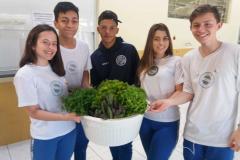 Alface, almeirão, brócolis, escarola, espinafre, couve, salsinha, cheiro-verde e outras verduras e hortaliças foram colhidas, nesta quinta-feira (12), na horta do Colégio Estadual Amâncio Moro (CEP-Amâncio).