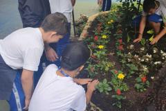Com objetivos de tornar o paisagismo da escola ainda mais bonito e, principalmente, preservar a vida das abelhas, consideradas os mais importantes agentes polinizadores do meio ambiente, na última sexta-feira (8) foi inaugurado o “Jardim da Vida” no Colégio Estadual Tiradentes (CEP-Tiradentes). 