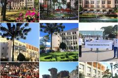 O Instagram do Colégio registra, até neste momento, 48,5k curtidas em 270 postagens, o que representa 180 curtidas em cada publicação. A curiosidade é que, das nove imagens mais curtidas, seis se referem ao jardim e fachada do prédio histórico da instituição com mais de 173 anos de história, e que se renova todos os dias.
