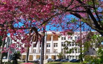 fachada_flores.jpg
