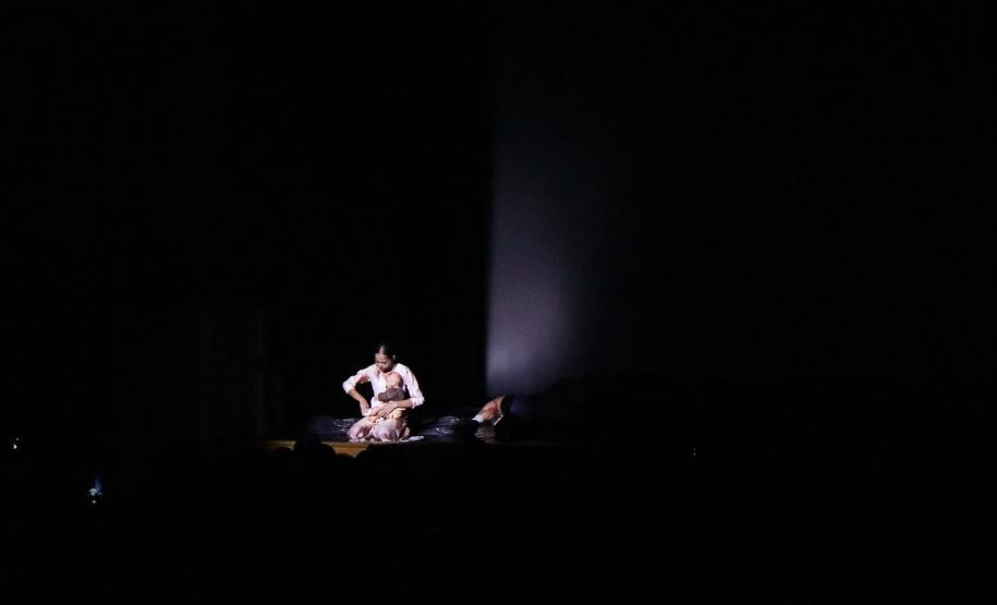 mostra_processos_2024_dancep