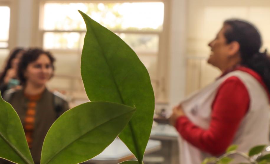 Estudantes de Pedagogia da Unespar visitam CEP