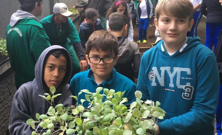 Nesta quarta-feira (5), Dia Internacional do Meio Ambiente, os estudantes do Colégio Estadual do Paraná plantaram diversas mudas de verduras e hortaliças nos canteiros da nova horta construída no Colégio Estadual Tiradentes (CEP-Tiradentes).