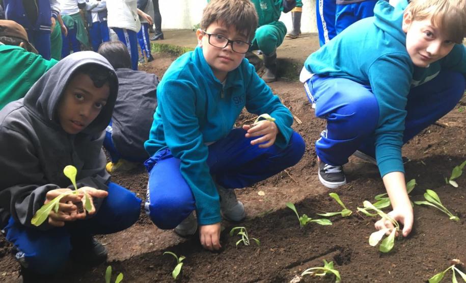 Nesta quarta-feira (5), Dia Internacional do Meio Ambiente, os estudantes do Colégio Estadual do Paraná plantaram diversas mudas de verduras e hortaliças nos canteiros da nova horta construída no Colégio Estadual Tiradentes (CEP-Tiradentes).