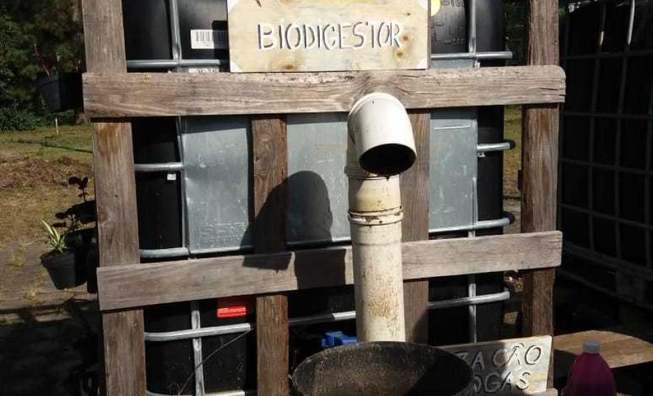 Estudantes formam equipes para participar de ações que aumentam a consciência sobre a necessidade de proteção dos recursos naturais do planeta.