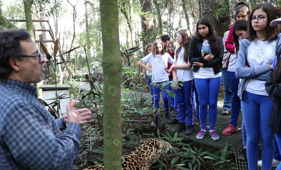 Para se aproximar da fauna e flora brasileira, um grupo de estudantes e professores do Colégio Estadual do Paraná (CEP) visitou, na quarta-feira (12), o Museu de História Natural localizado no bairro Capão da Imbuia, em Curitiba.