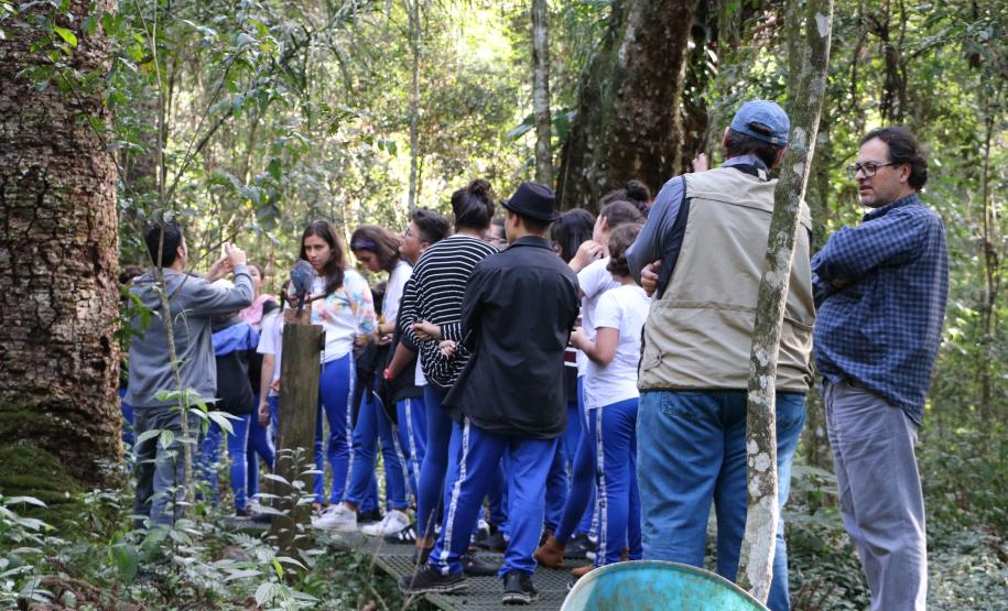 Para se aproximar da fauna e flora brasileira, um grupo de estudantes e professores do Colégio Estadual do Paraná (CEP) visitou, na quarta-feira (12), o Museu de História Natural localizado no bairro Capão da Imbuia, em Curitiba.