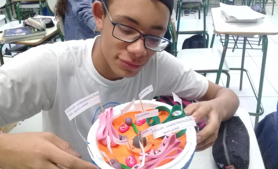 A montagem criativa faz parte da exposição de maquetes apresentadas pelos estudantes do 1° ano do Ensino Médio, que usou da atividade prática para representar as  células animal e vegetal no estudo da citologia.