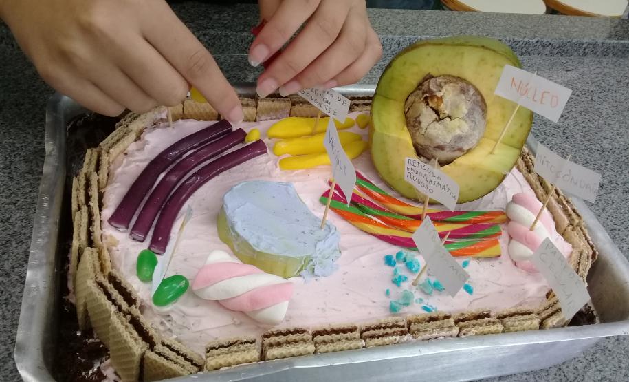 A montagem criativa faz parte da exposição de maquetes apresentadas pelos estudantes do 1° ano do Ensino Médio, que usou da atividade prática para representar as  células animal e vegetal no estudo da citologia.