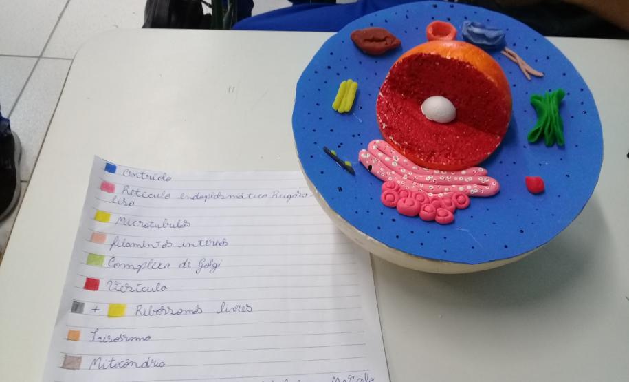 A montagem criativa faz parte da exposição de maquetes apresentadas pelos estudantes do 1° ano do Ensino Médio, que usou da atividade prática para representar as  células animal e vegetal no estudo da citologia.