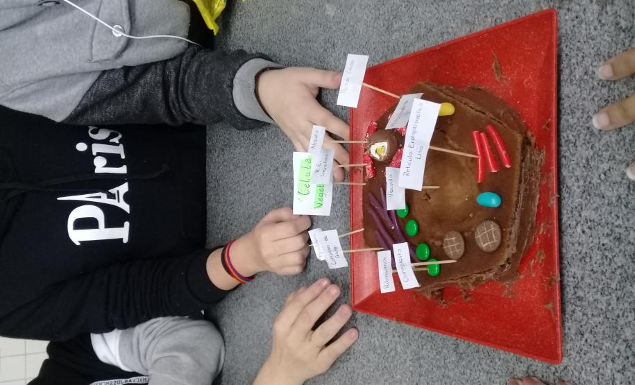 A montagem criativa faz parte da exposição de maquetes apresentadas pelos estudantes do 1° ano do Ensino Médio, que usou da atividade prática para representar as  células animal e vegetal no estudo da citologia.