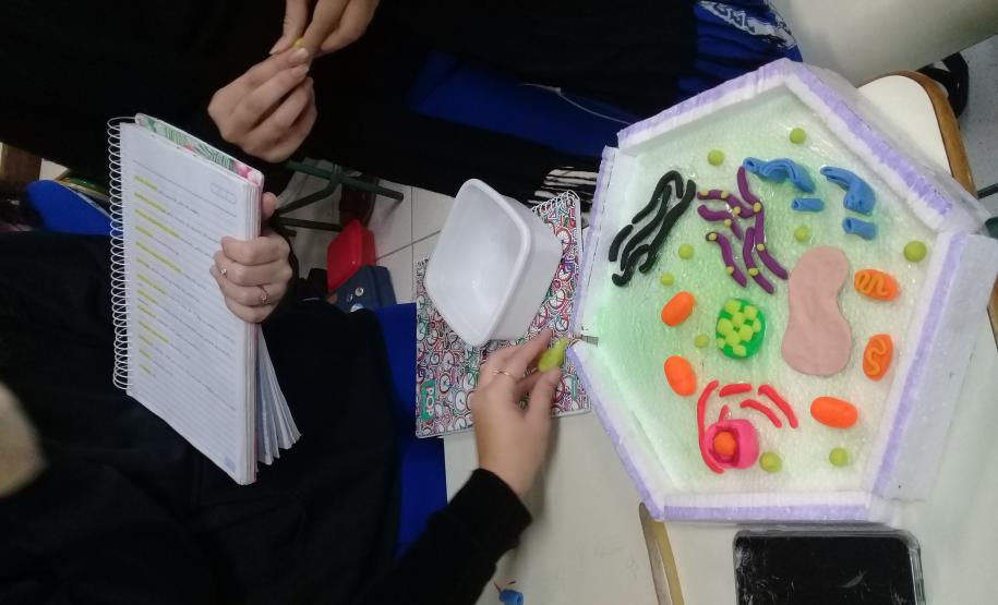 A montagem criativa faz parte da exposição de maquetes apresentadas pelos estudantes do 1° ano do Ensino Médio, que usaram da prática para criar modelos de representação das células animal e vegetal no estudo da citologia.