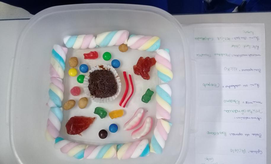 A montagem criativa faz parte da exposição de maquetes apresentadas pelos estudantes do 1° ano do Ensino Médio, que usaram da prática para criar modelos de representação das células animal e vegetal no estudo da citologia.