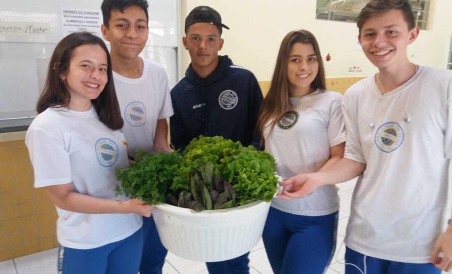 colheita 1 Alface, almeirão, brócolis, escarola, espinafre, couve, salsinha, cheiro-verde e outras verduras e hortaliças foram colhidas, nesta quinta-feira (12), na horta do Colégio Estadual Amâncio Moro (CEP-Amâncio).