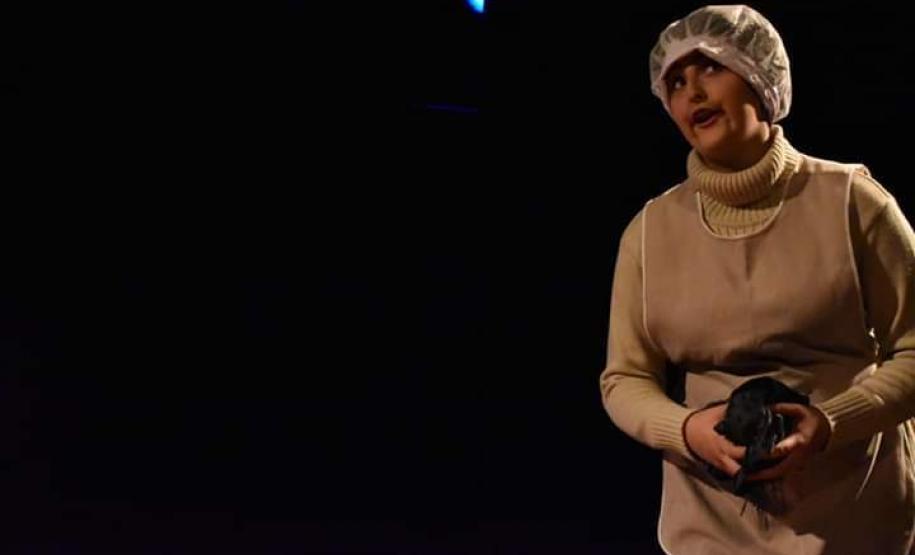 O elenco é formado por 20 estudantes do Modulado Grutinha, ofertado na Escolinha de Arte do CEP. São atores e atrizes que se preparam para mostrar mais essa história criativa aos estudantes das escolas Municipais e, no Festival de Teatro de Pinhais, ao público de uma escola do município metropolitano de Piraquara. Além dessas, outras apresentações serão programadas ainda para este semestre.