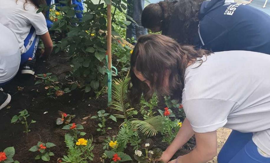 Foto 3 Com objetivos de tornar o paisagismo da escola ainda mais bonito e, principalmente, preservar a vida das abelhas, consideradas os mais importantes agentes polinizadores do meio ambiente, na última sexta-feira (8) foi inaugurado o “Jardim da Vida” no Colégio Estadual Tiradentes (CEP-Tiradentes).