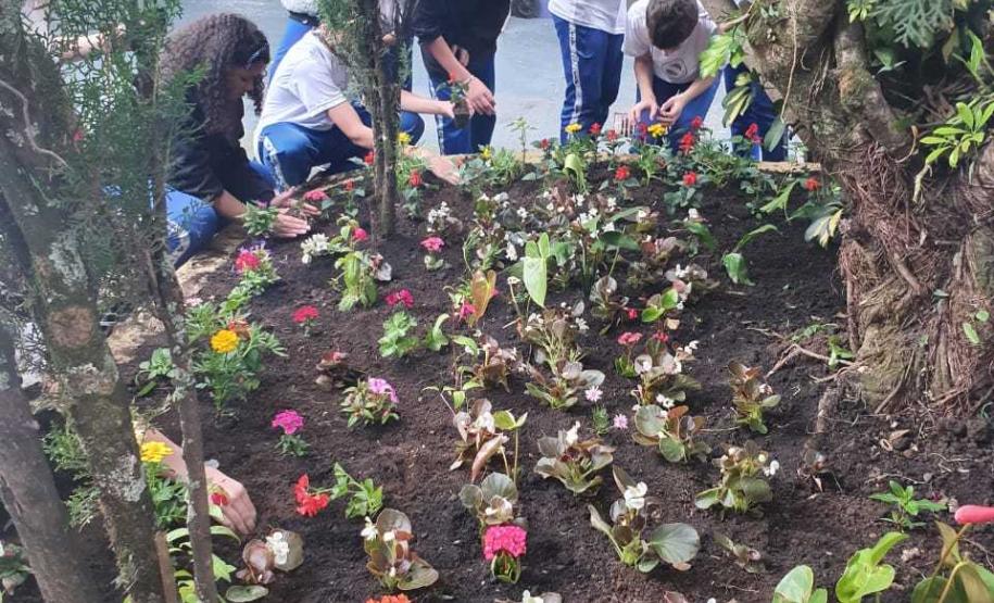 Foto 5 Com objetivos de tornar o paisagismo da escola ainda mais bonito e, principalmente, preservar a vida das abelhas, consideradas os mais importantes agentes polinizadores do meio ambiente, na última sexta-feira (8) foi inaugurado o “Jardim da Vida” no Colégio Estadual Tiradentes (CEP-Tiradentes).