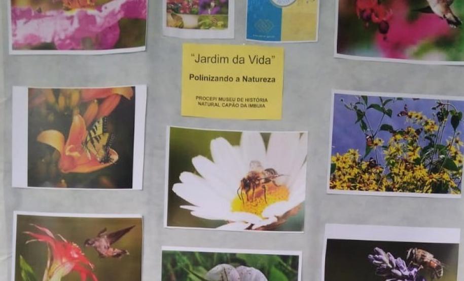 Foto 11 Com objetivos de tornar o paisagismo da escola ainda mais bonito e, principalmente, preservar a vida das abelhas, consideradas os mais importantes agentes polinizadores do meio ambiente, na última sexta-feira (8) foi inaugurado o “Jardim da Vida” no Colégio Estadual Tiradentes (CEP-Tiradentes).