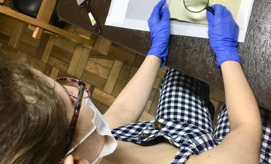 A universitária Brenda Lis Rocha, do curso de Artes Visuais da Unespar de Curitiba, participa do Modulado de Acervo da Escolinha.